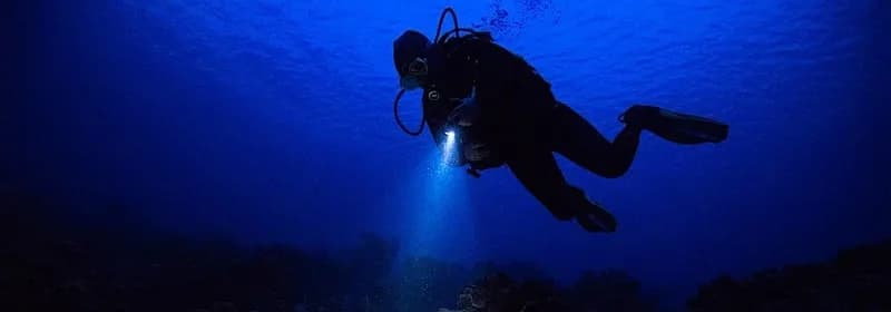 Dive For You