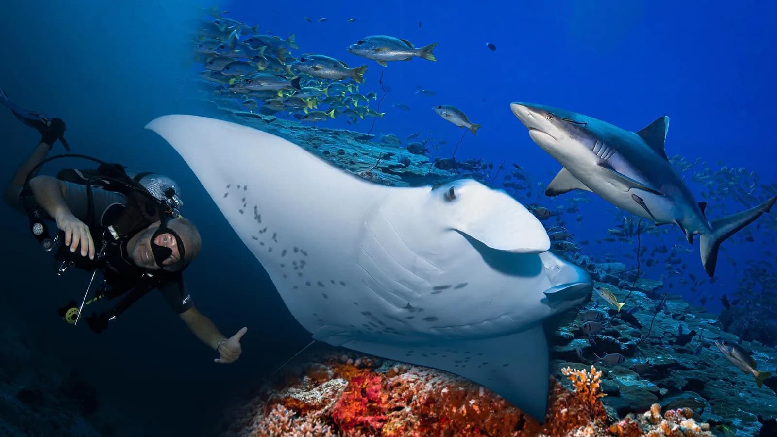 Aquaventure Dive Center