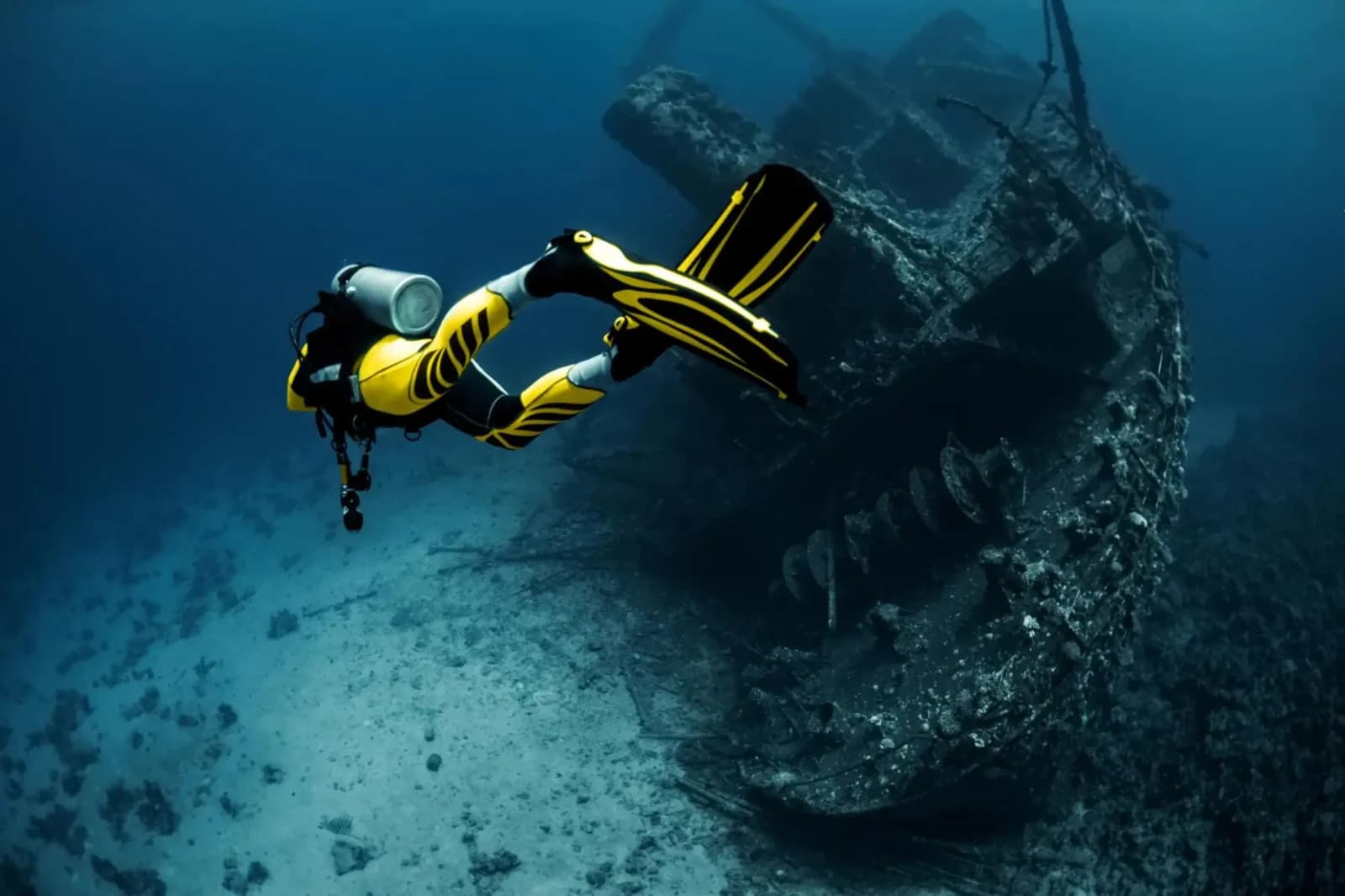 The Dive Master