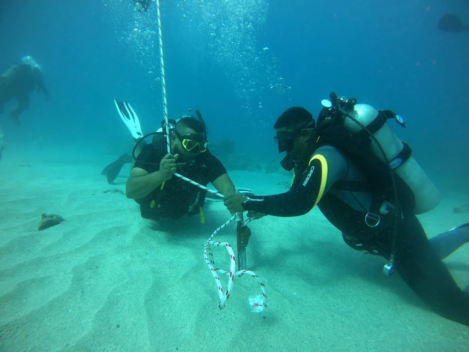 Dodo Divers