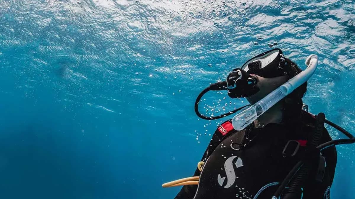 Pattaya Dive Centre