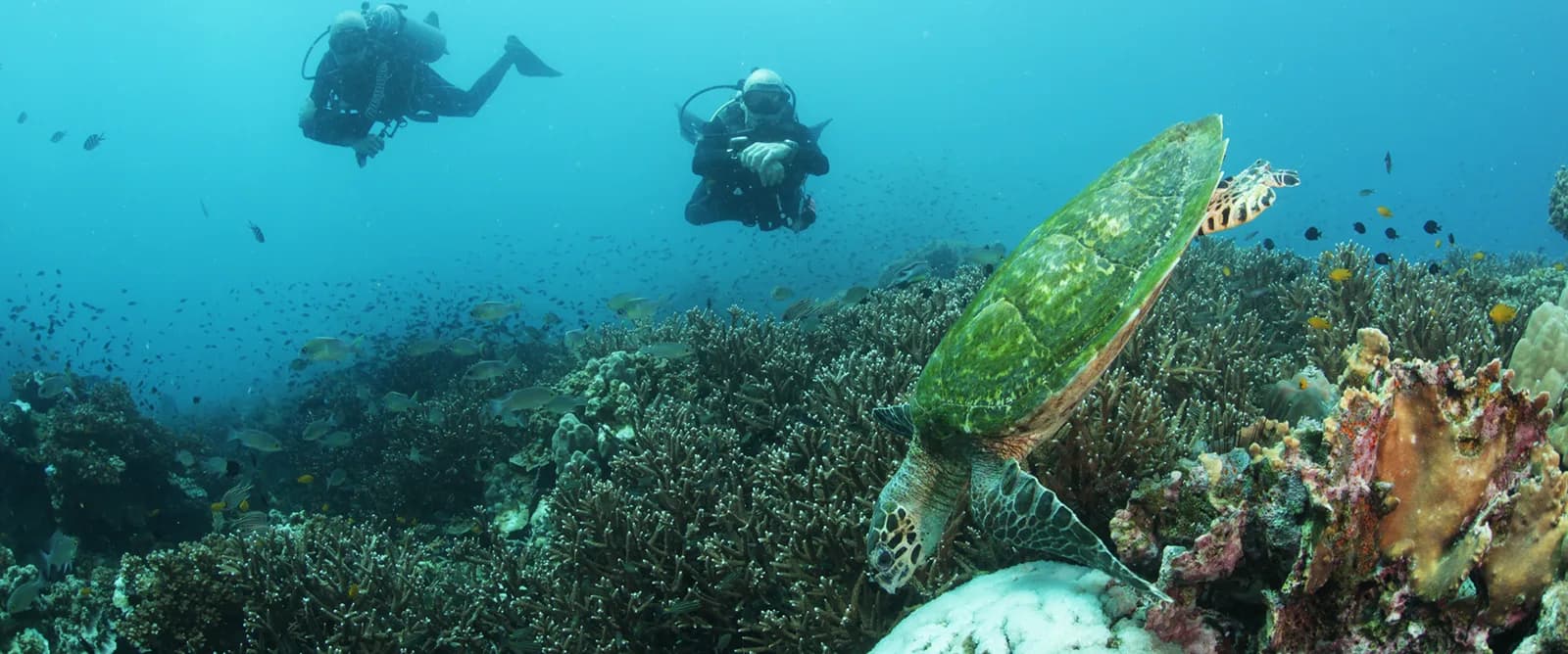 Scuba Shack Co Ltd