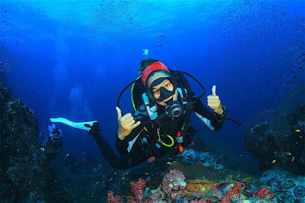 Black Turtle Dive