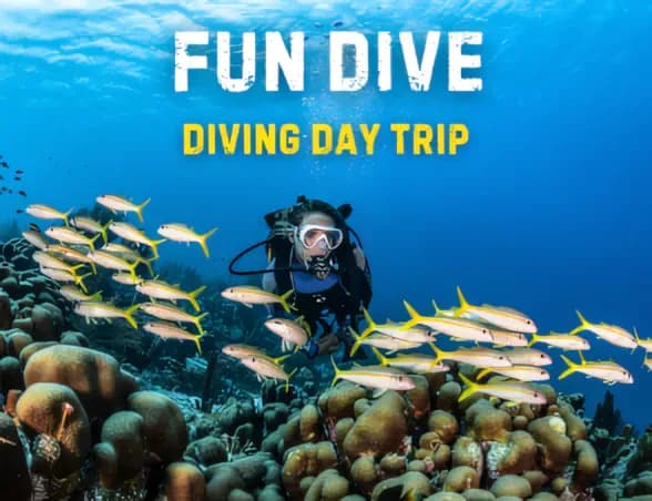 All4Diving® Phuket