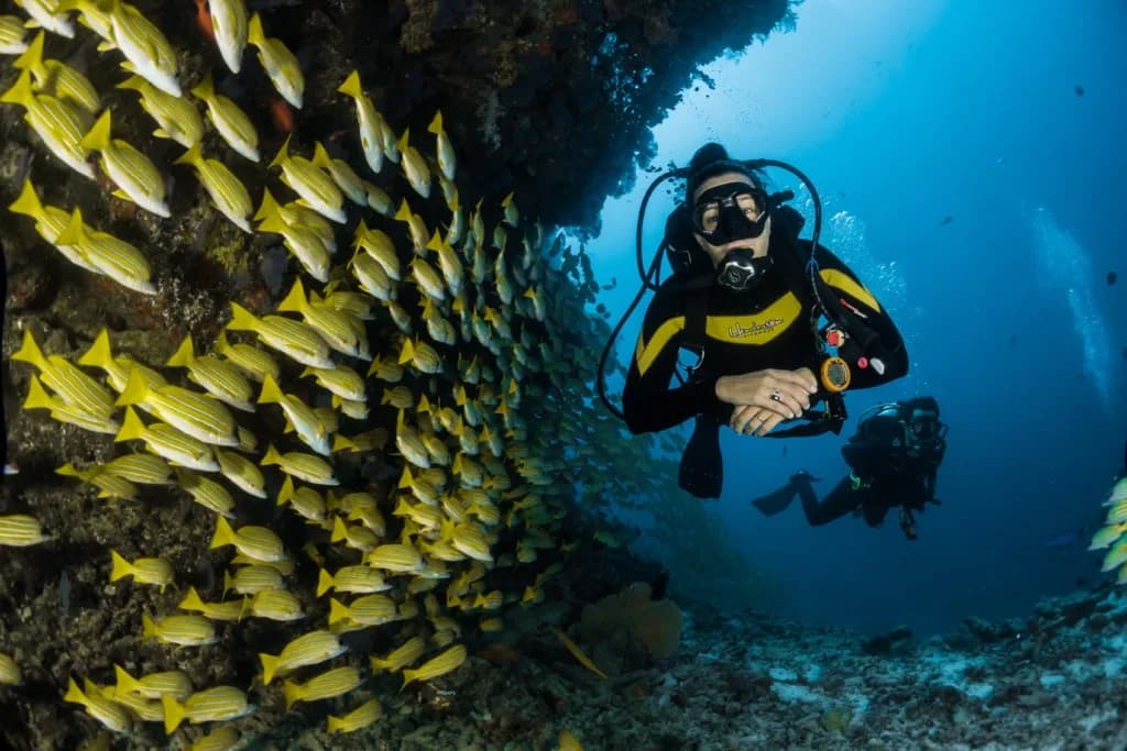 Vietnam Active Phu Quoc Diving Center