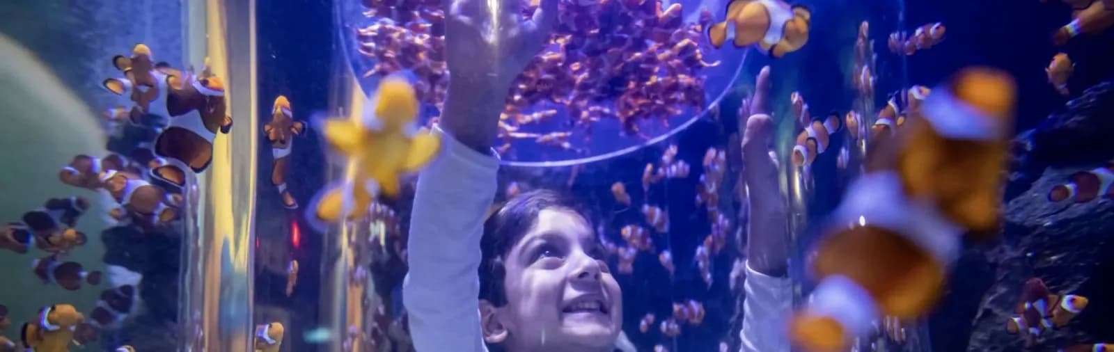 Two Oceans Aquarium