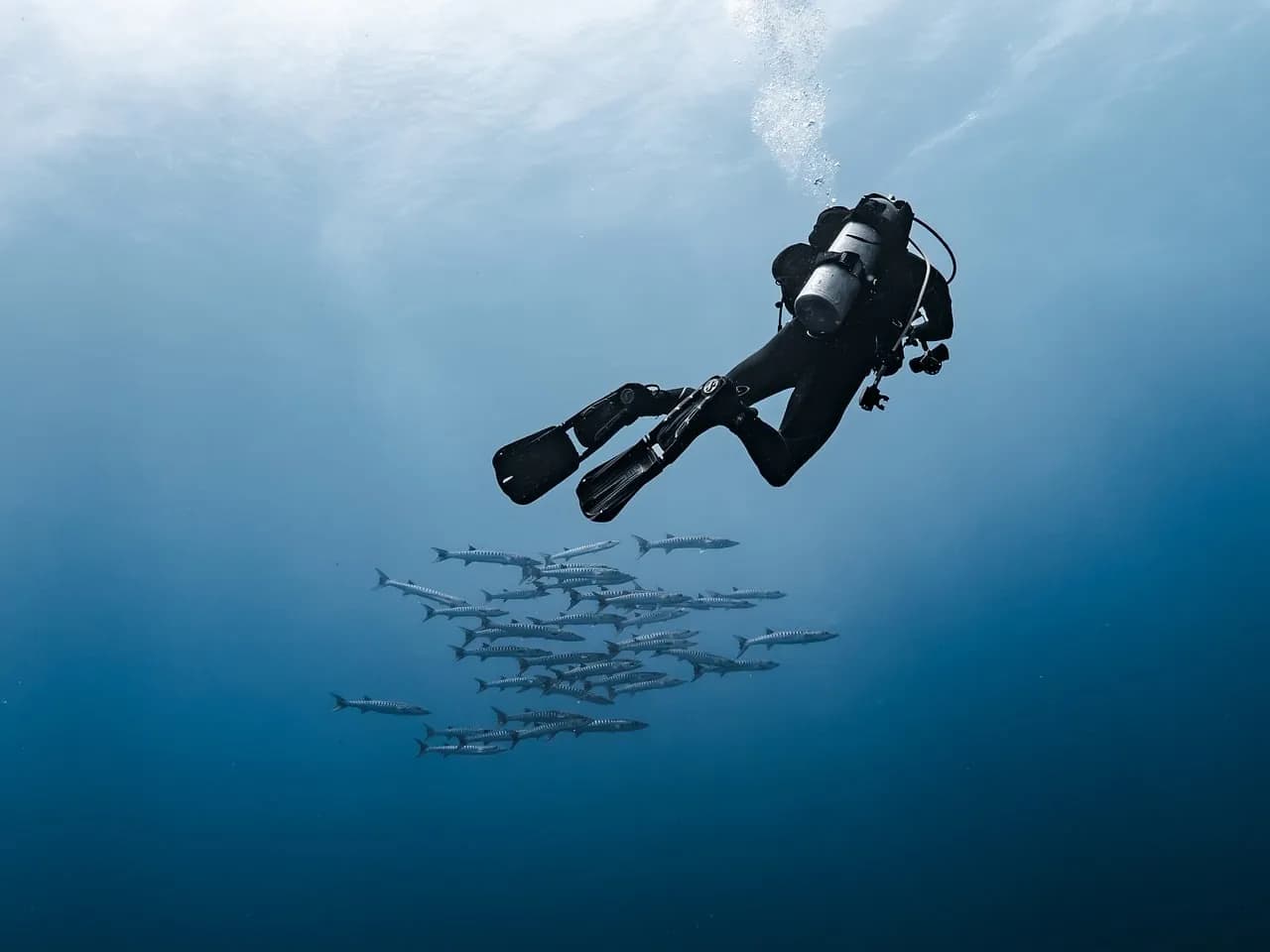 Polhena Diving Center
