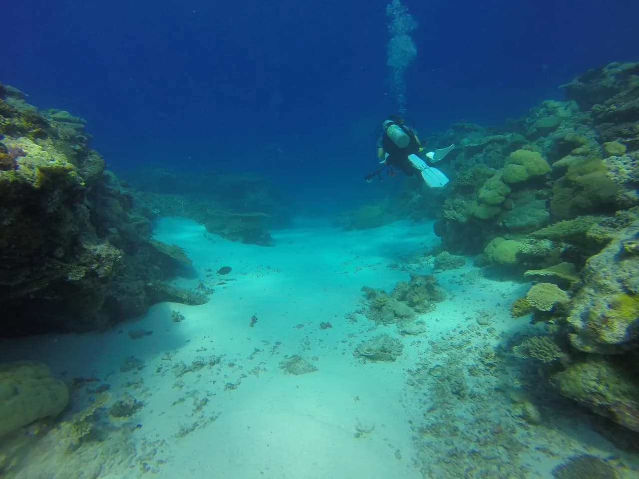 Nudidive Thailand – Club & Centre de Plongée à Phuket