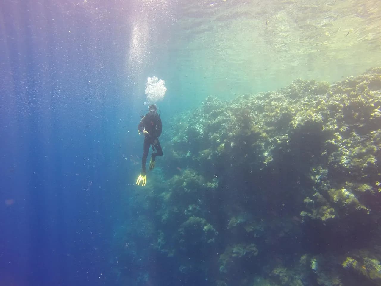 Sogod Bay Scuba Resort Inc