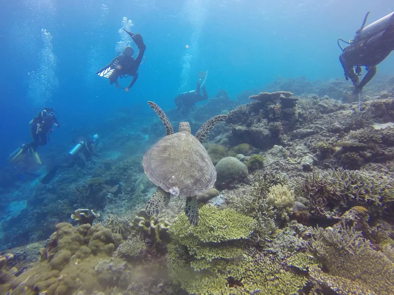 Aonang Scuba Center