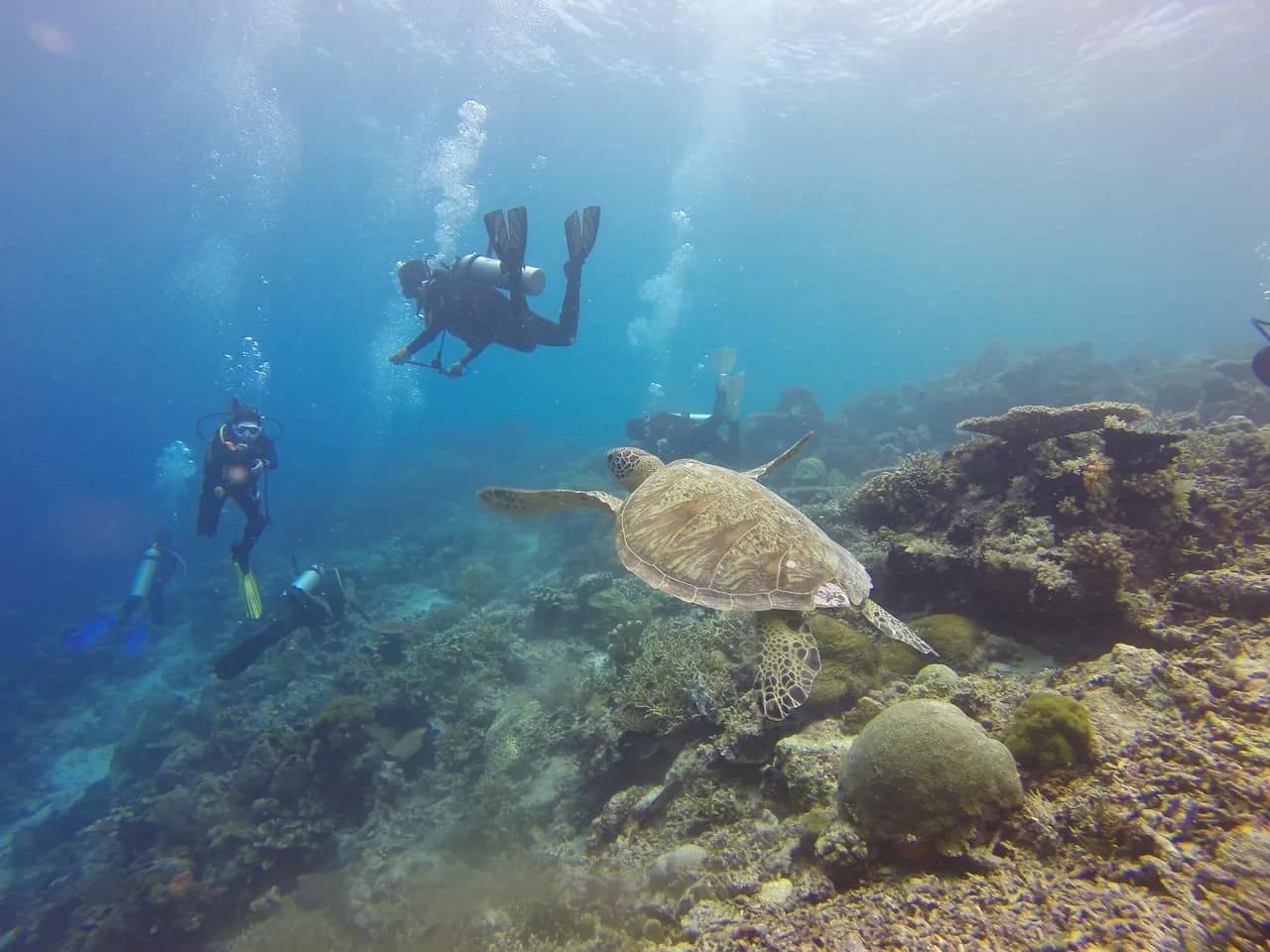 Diving Solutions (Asia) LLP