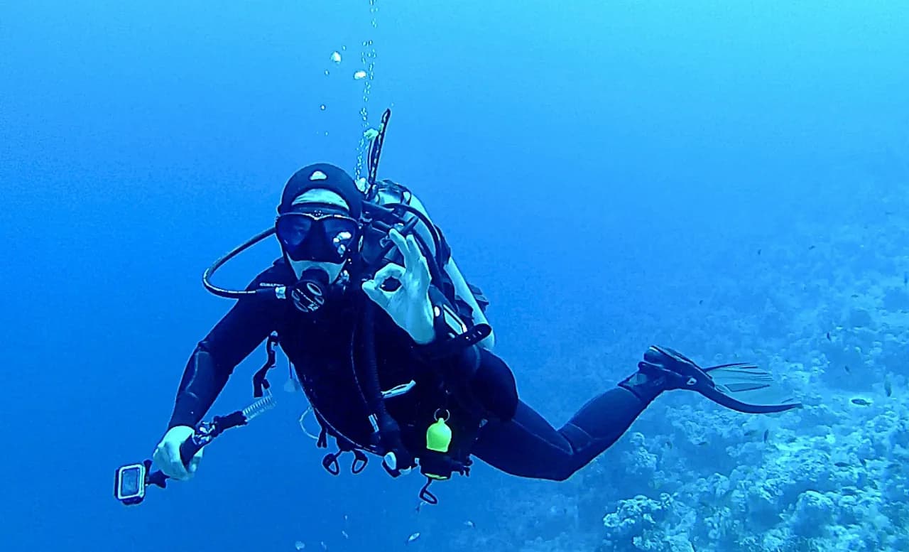 ACE DIVING