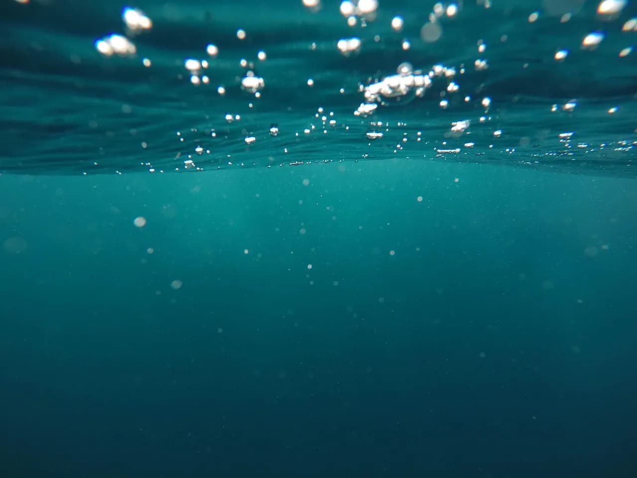 Titan Blue Divers