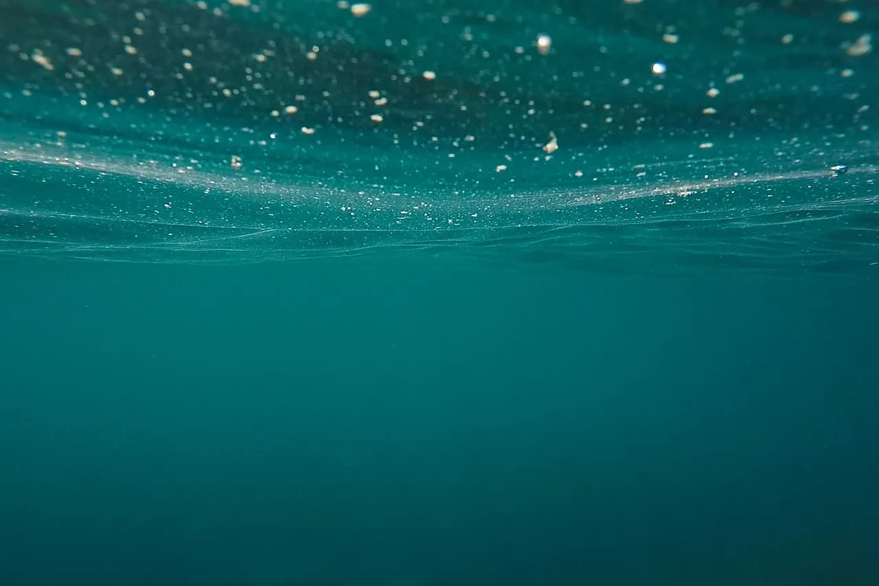 Sandy Beach Dive Academy