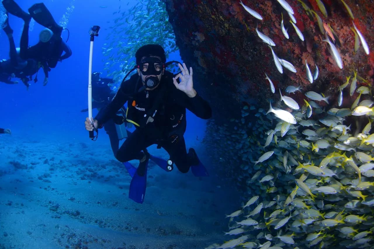 Pattaya Scuba Club