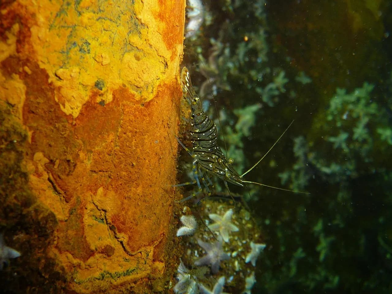 Subaqua Diving Centre