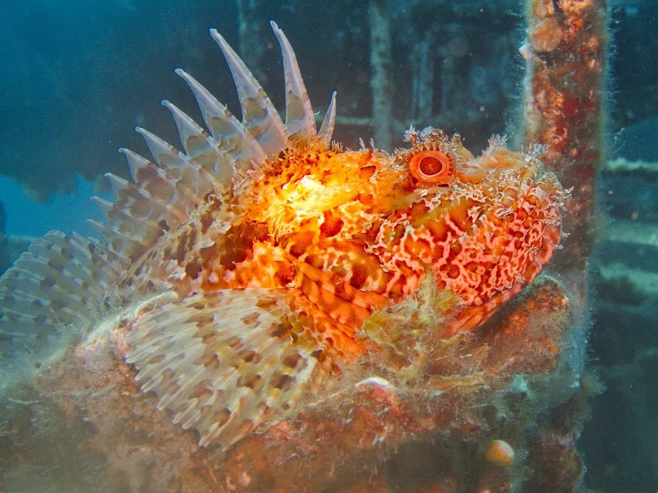 Atlantik Diving Center