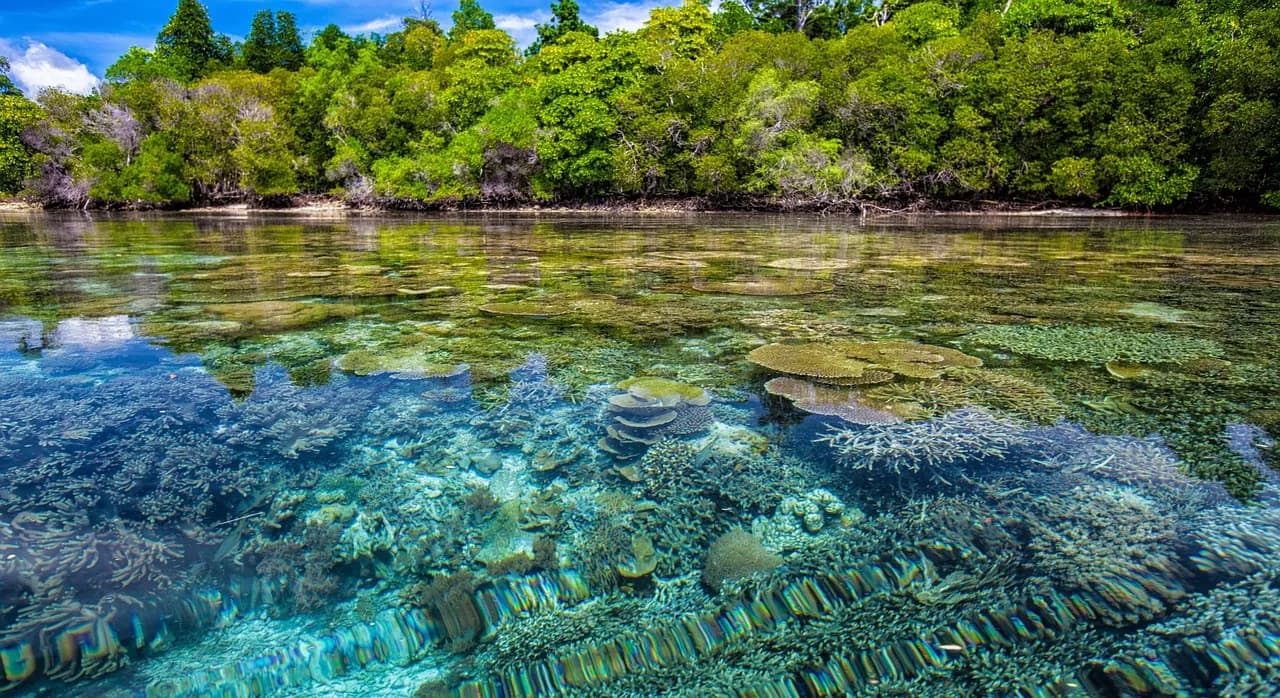 Blue Lagoon Dive Center