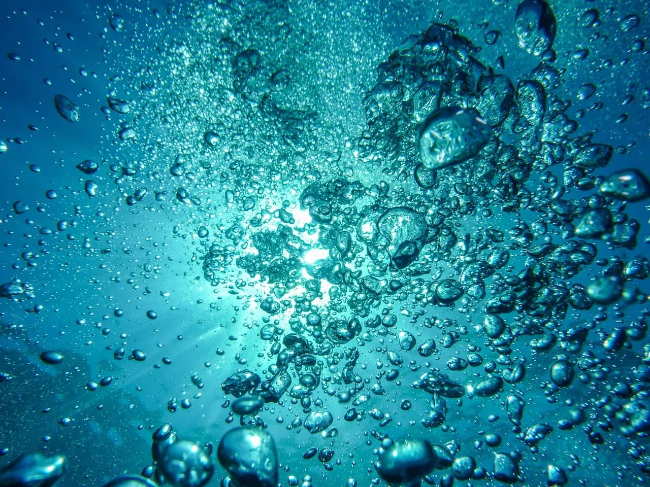 Centre de plongée Dive Ocean - Le bateau