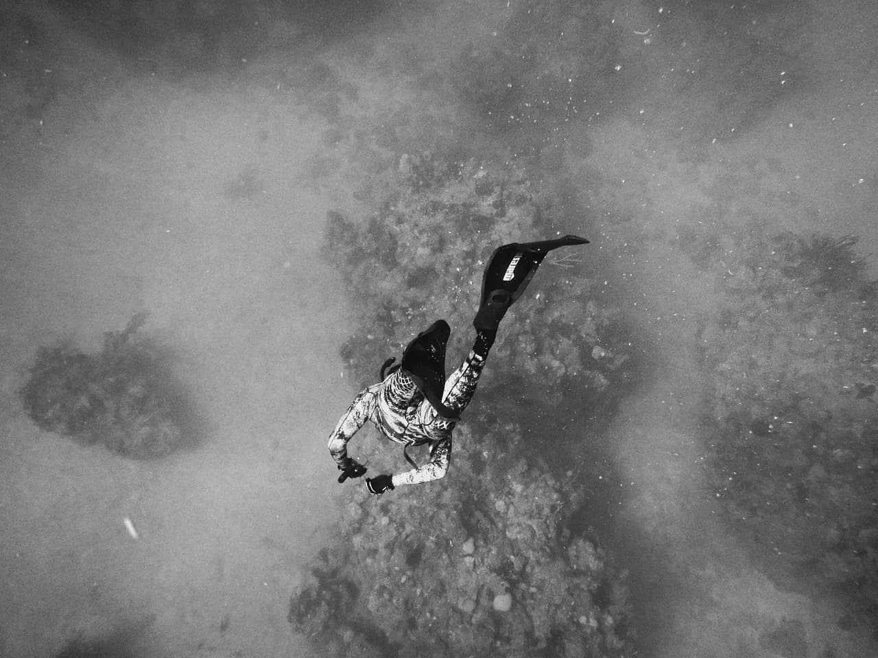 VIVRE OCEAN