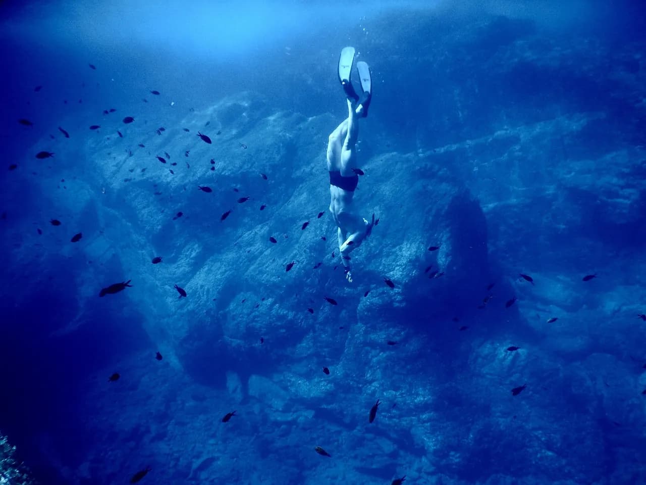 Diving nest