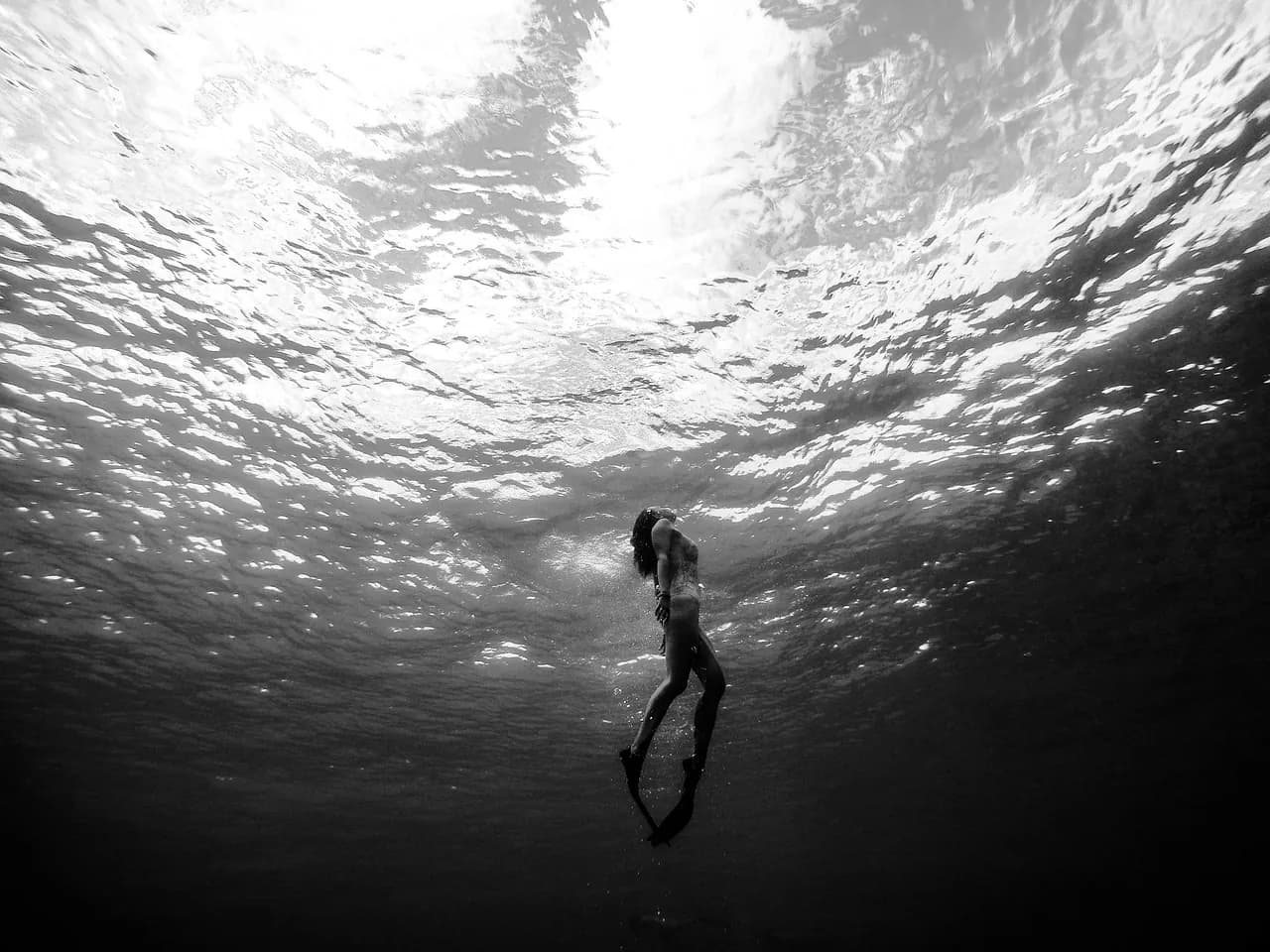 Bohol Divers Club