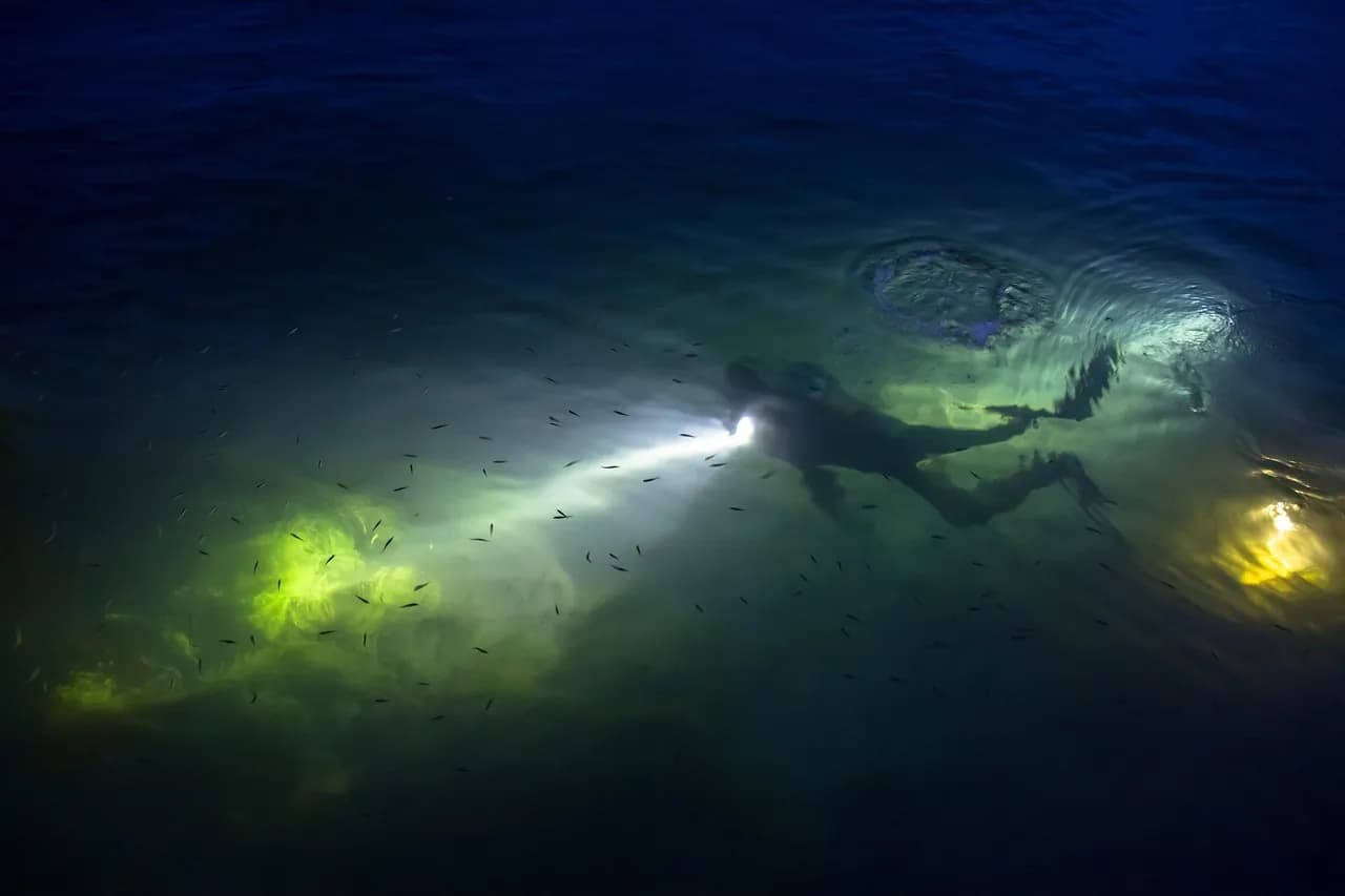 Pirate Divers Grand Cayman