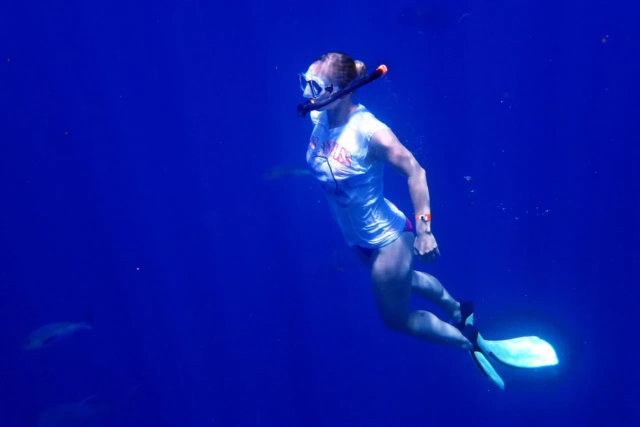 Club de Buceo Naosub