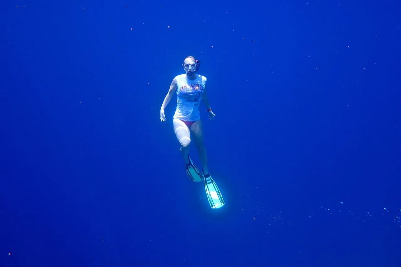 TD Diving