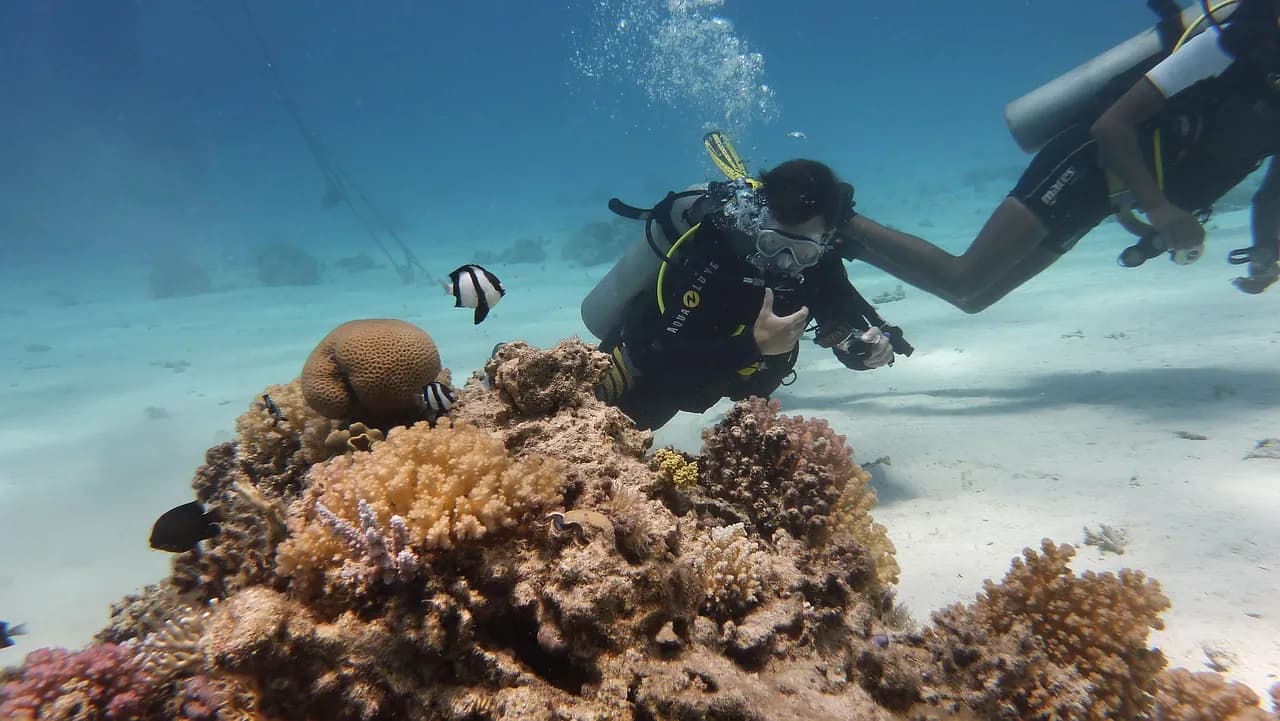 Sianmay Dive Bali