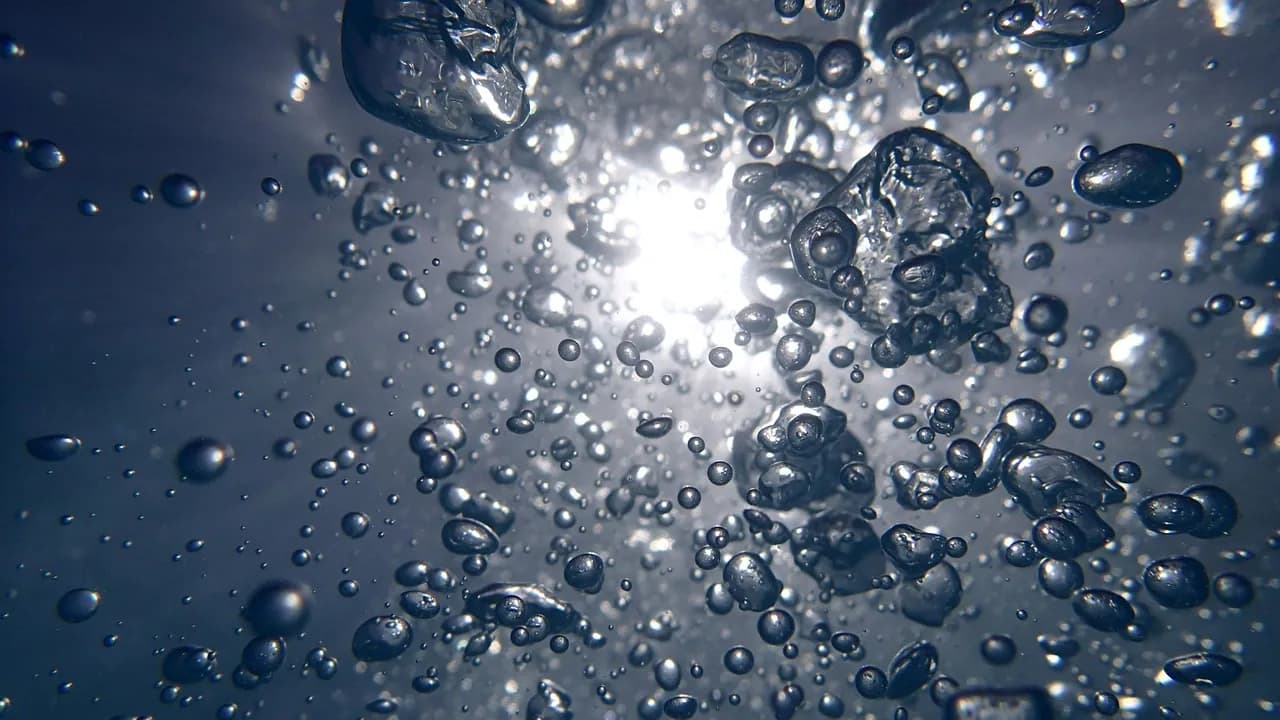 Diving - Hondarribia
