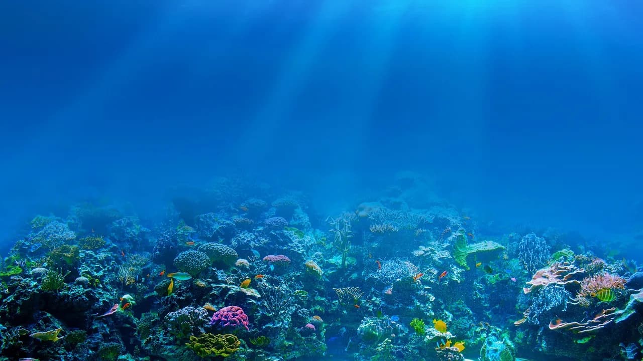 Barat Dive Center