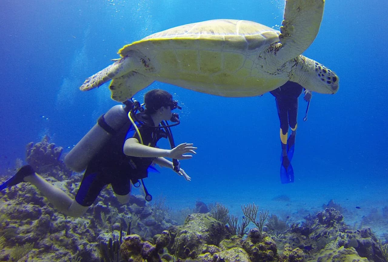 50bar scuba diving Center
