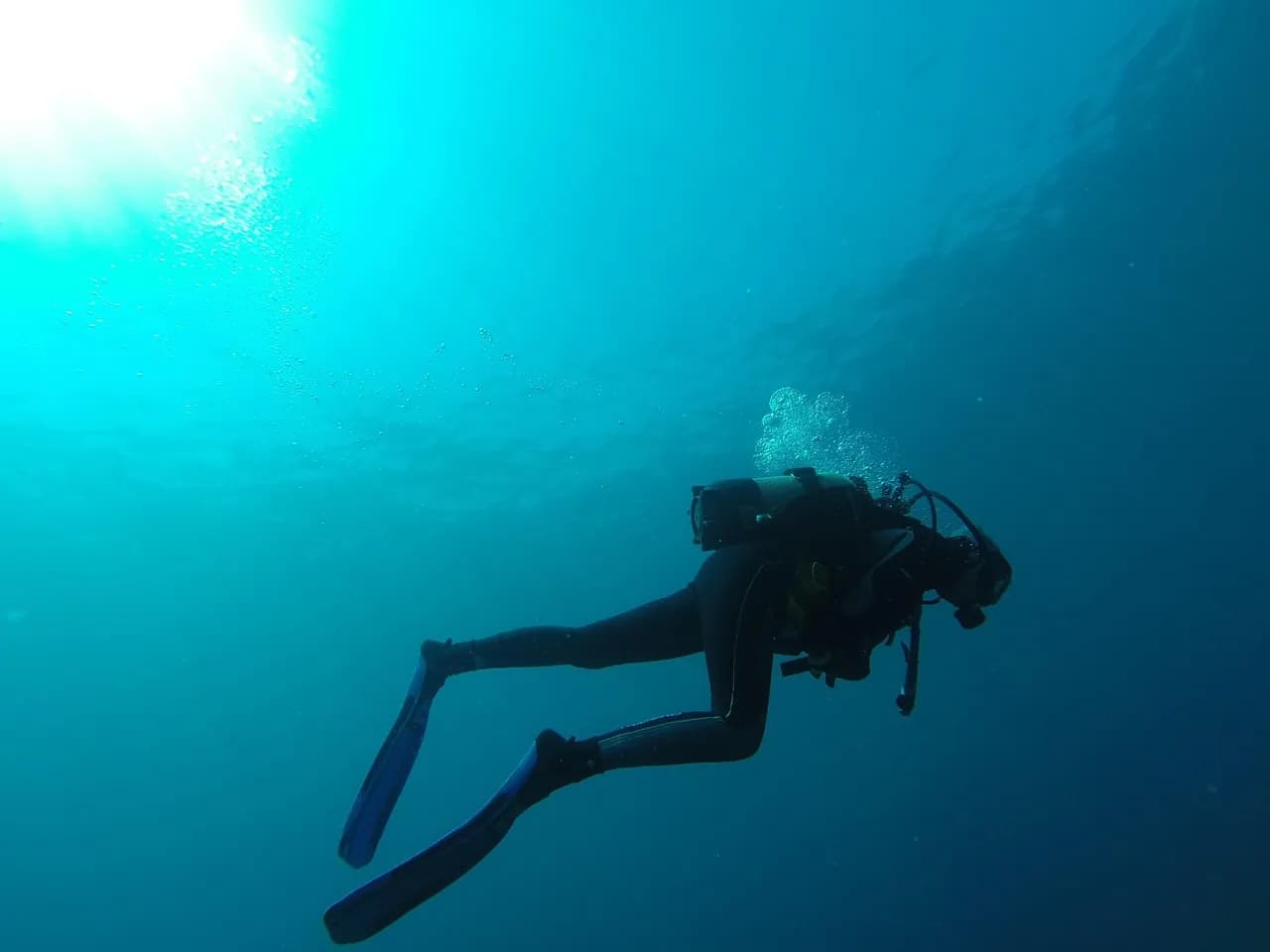 Pina Diving Dalis Egitim Merkezi