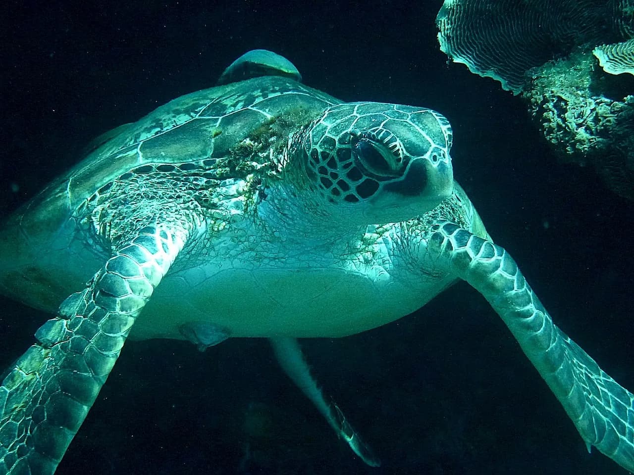 Nha Trang Fun Divers