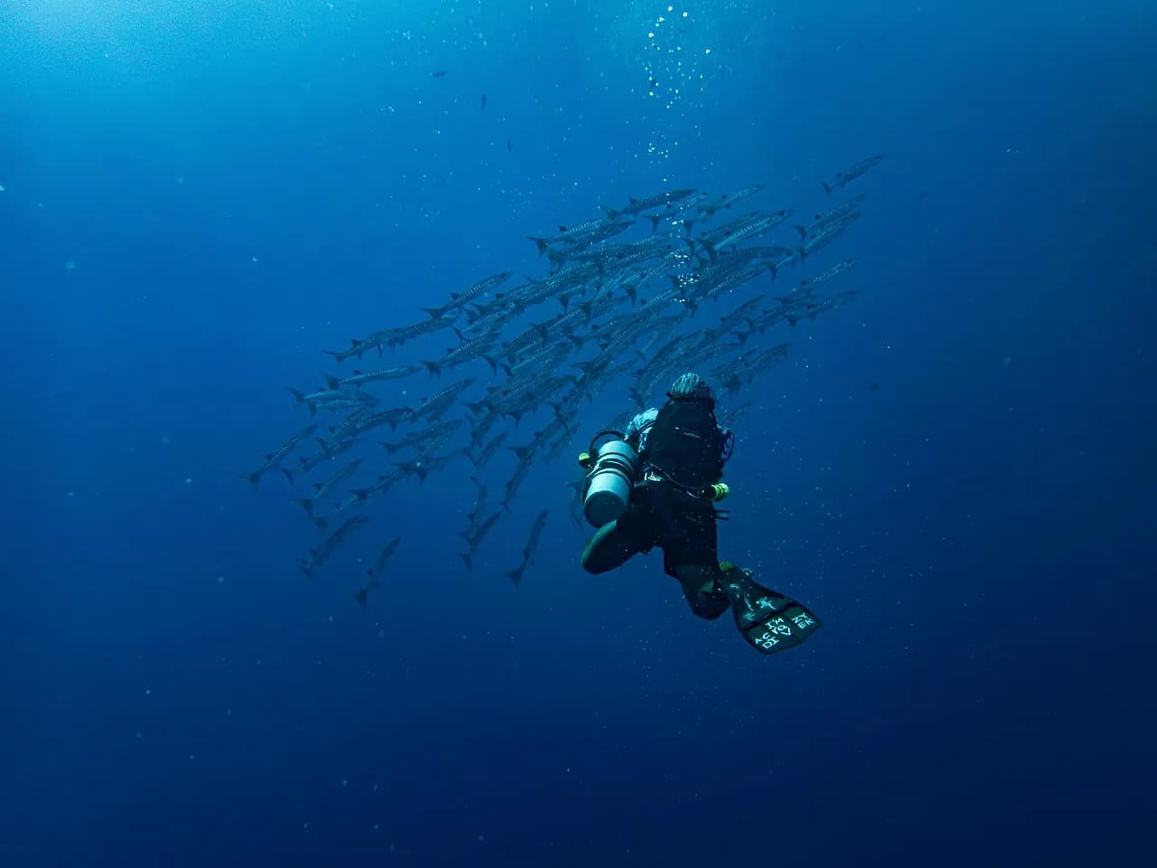 Andilana Beach Diving Center - VOI Andilana Beach Resort