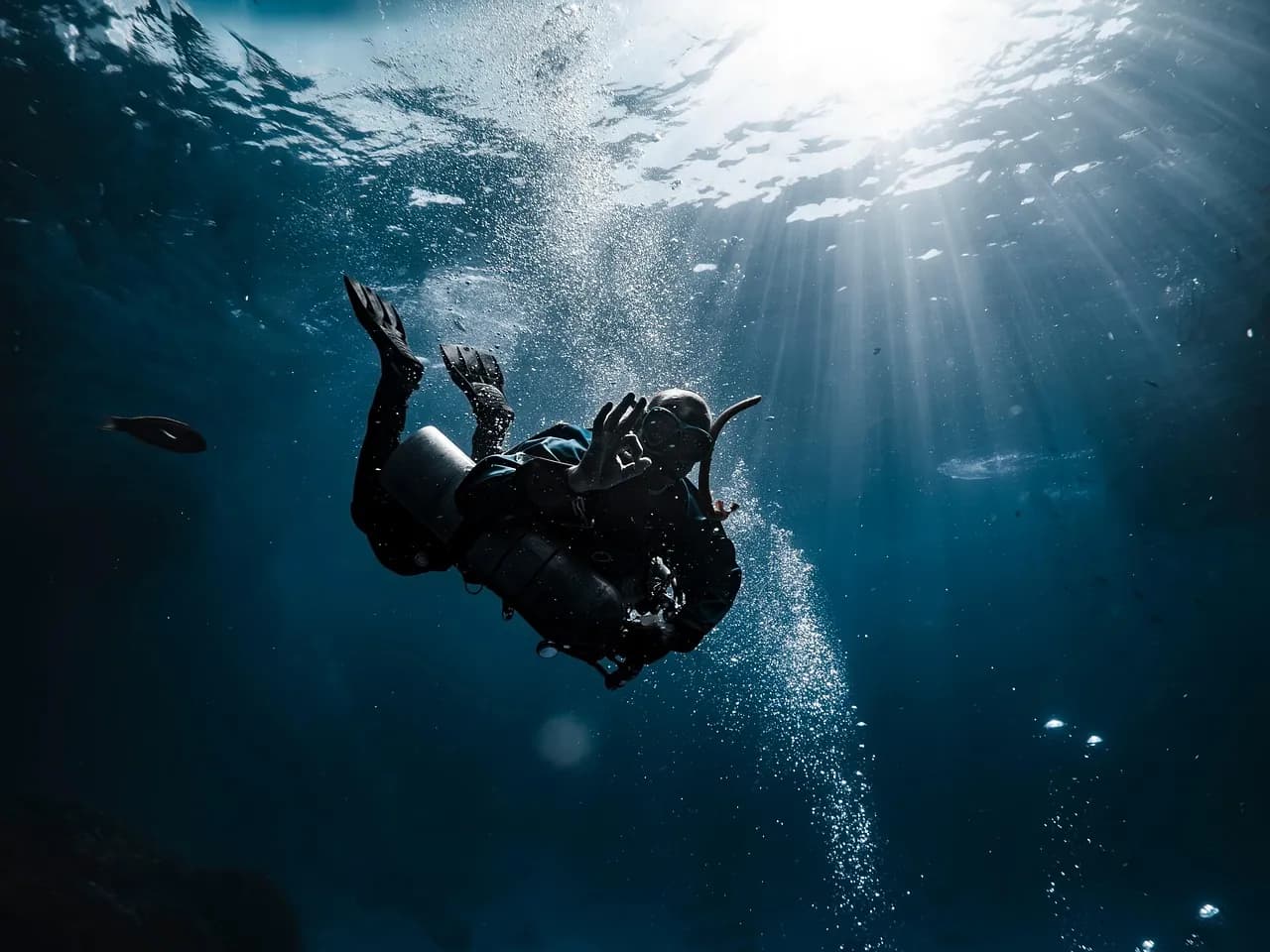 Zanzibar Underwater Explorers