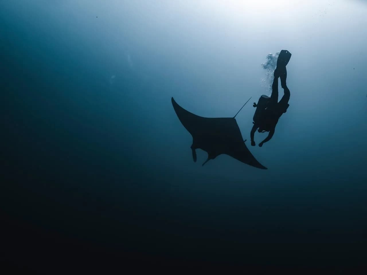 Arkipelago Divers & Beach Resort