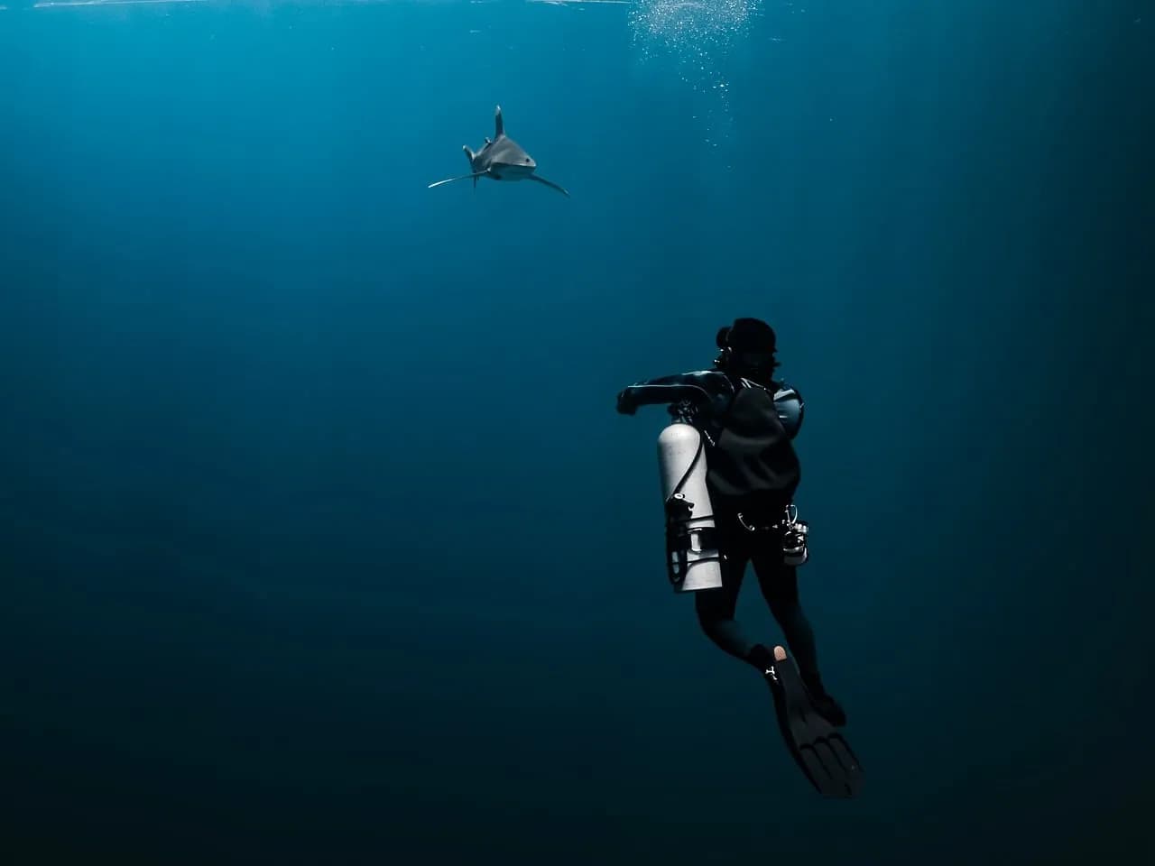 OKENOS DIVING  DIDIM - BODRUM -IZMIR, Okenos Diving Altınkum Didim Aydın Turkiye