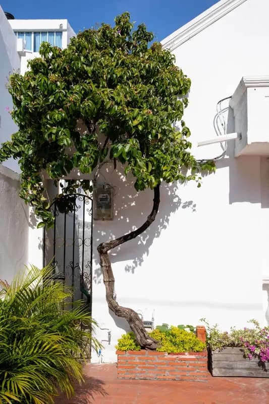 Casa Palmar Cartagena