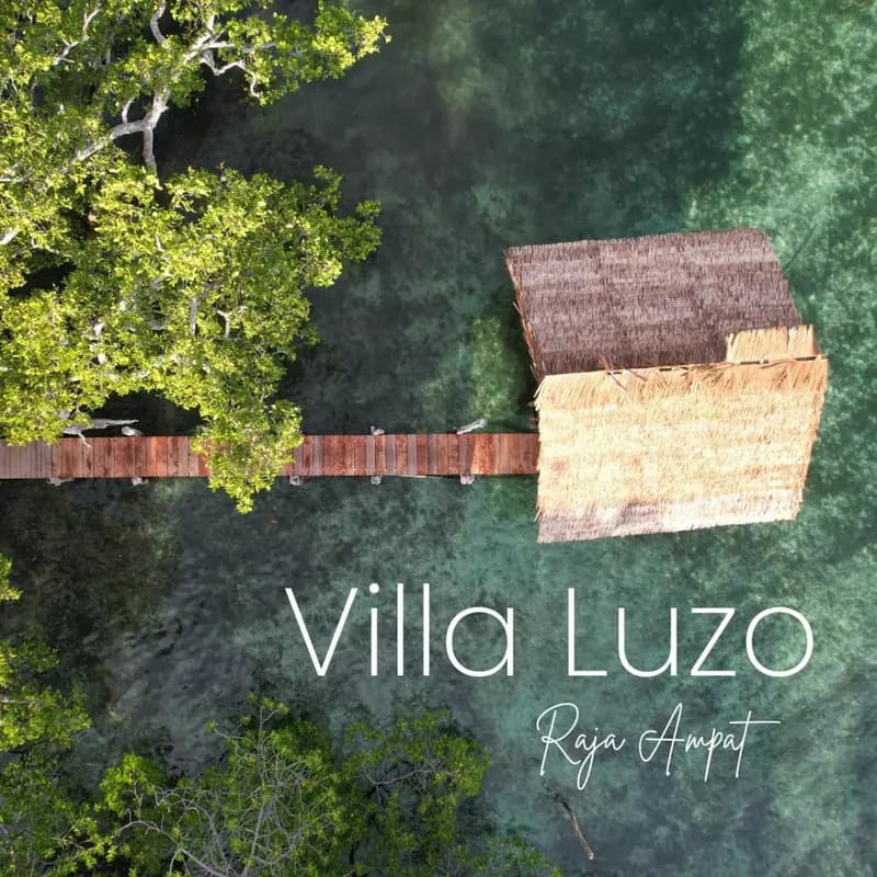 Villa Luzo & Tours