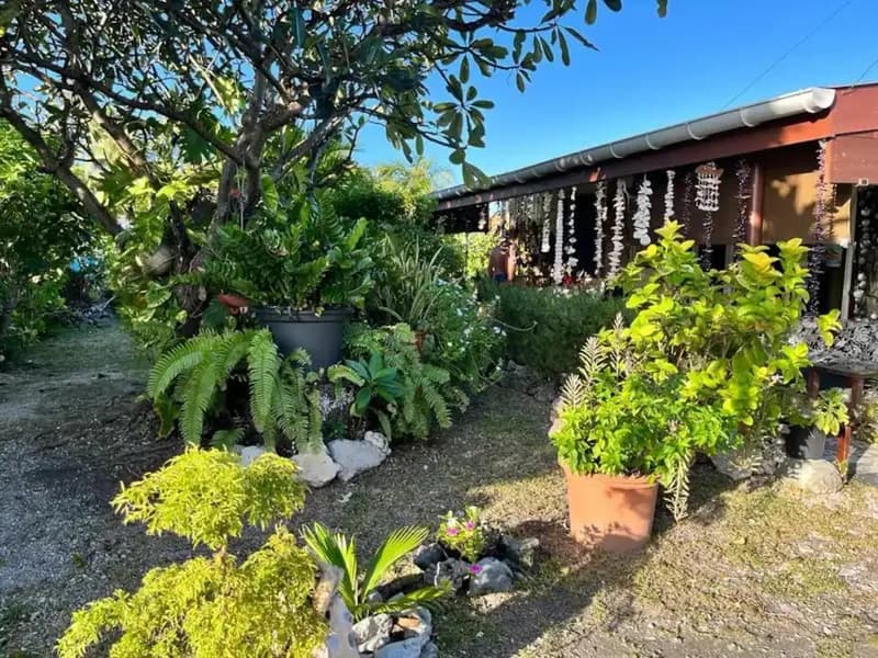 Chez Pilar