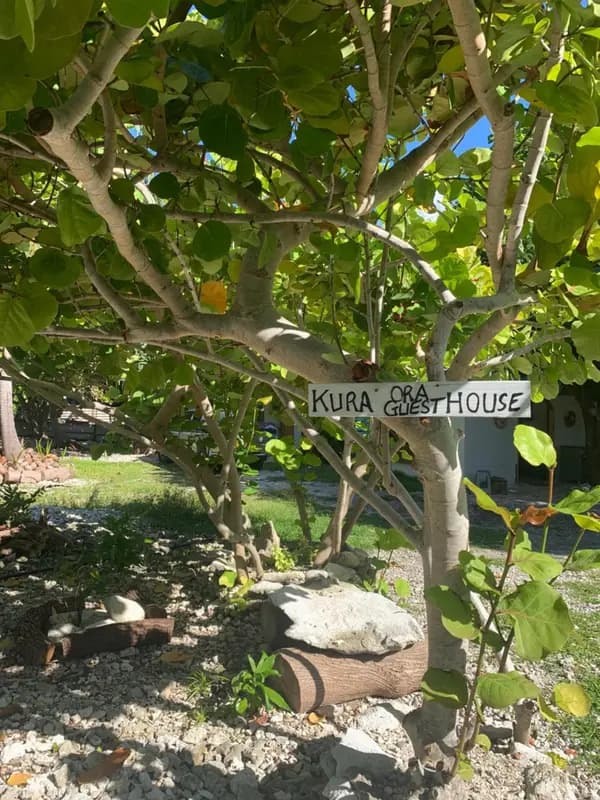 Kura Ora Guest House