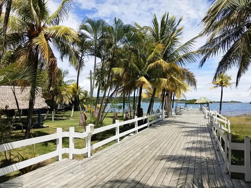 Las Palmas Beach Roatan