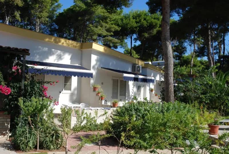 Hotel La Vela