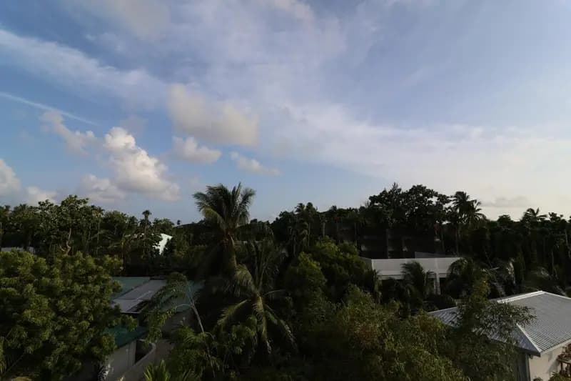 Pamera Thoddoo
