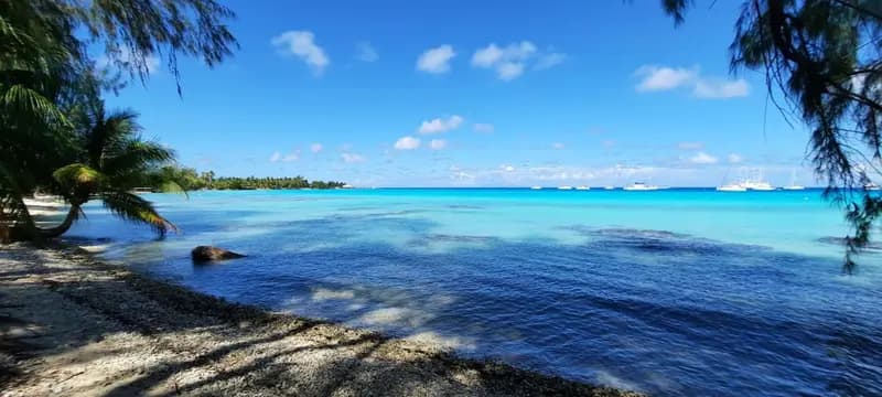 Fare Moana - Lagoon Side and Serenity in Rangiroa