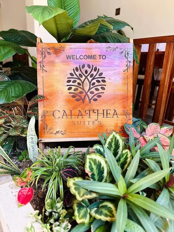 Calathea Suites El Nido
