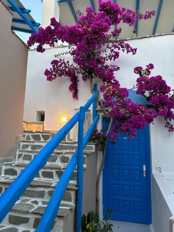 Sea View Apartments & Studios