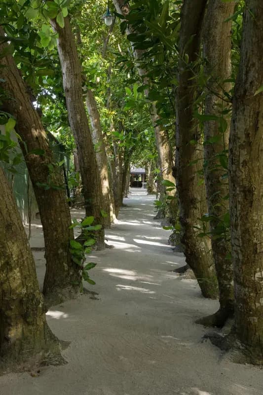Embudu Village Maldives